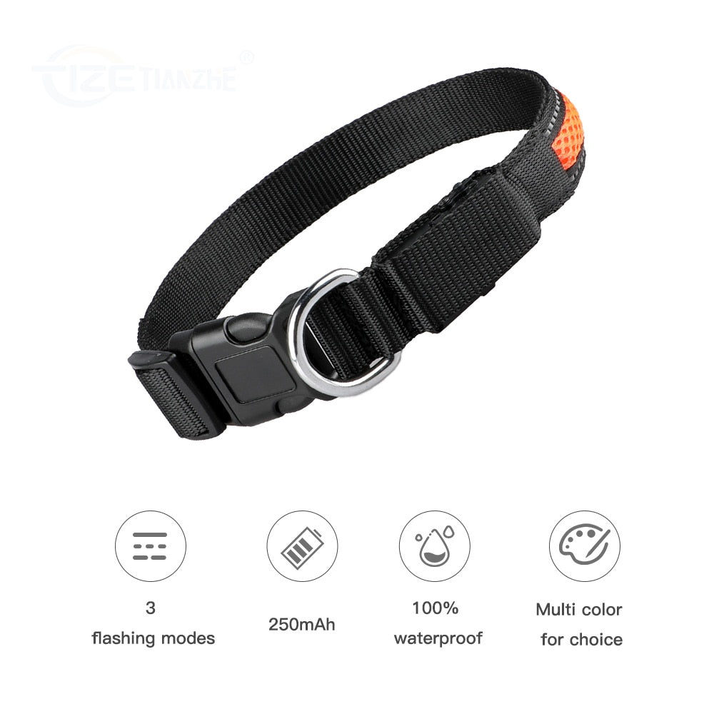 LED Flashing/Glowing Waterproof Dog Collar - goodfitforyou23