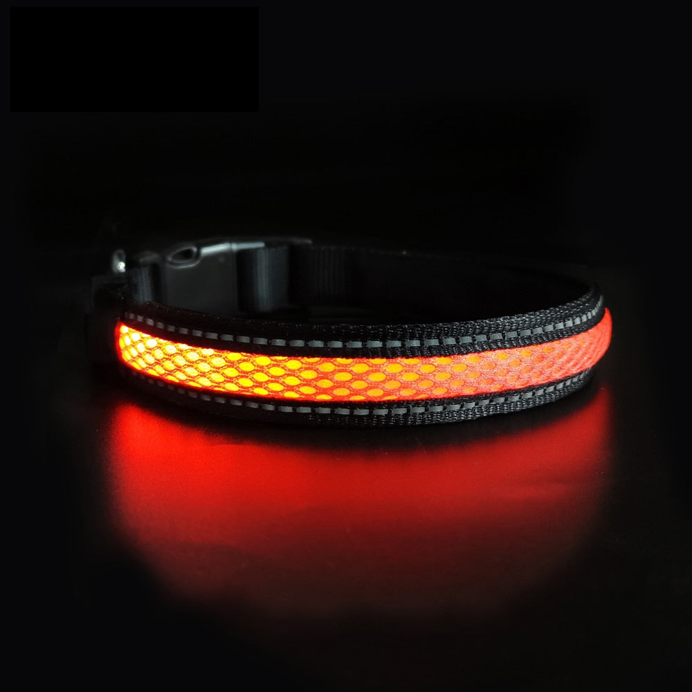 LED Flashing/Glowing Waterproof Dog Collar - goodfitforyou23