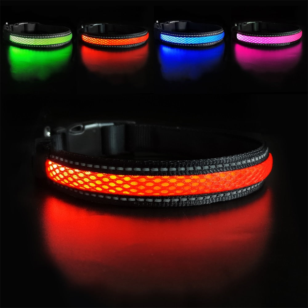 LED Flashing/Glowing Waterproof Dog Collar - goodfitforyou23