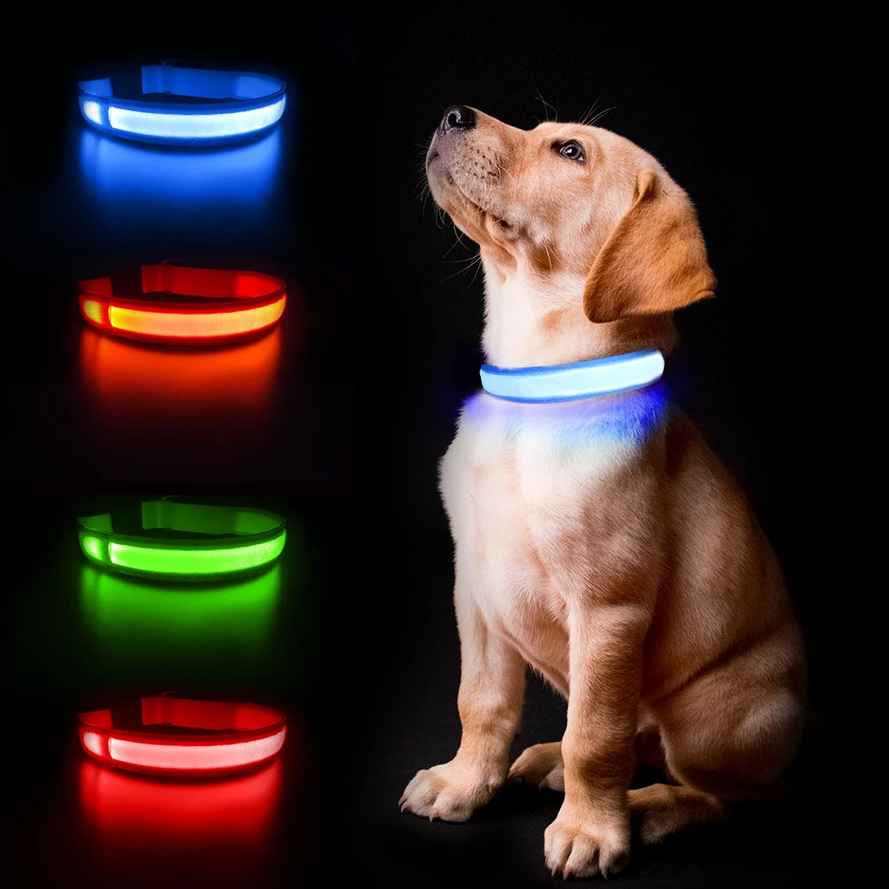 Waterproof Luminous Pet Dog Collar