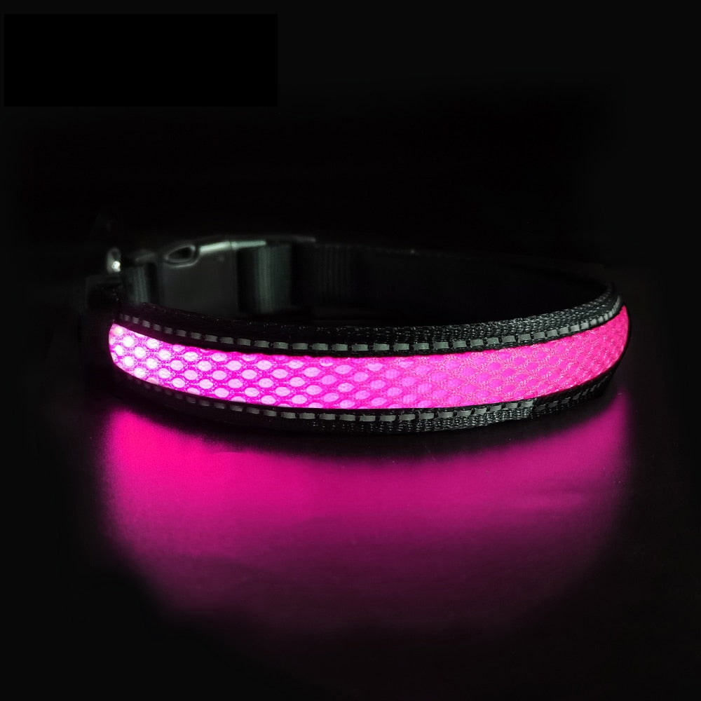 LED Flashing/Glowing Waterproof Dog Collar - goodfitforyou23