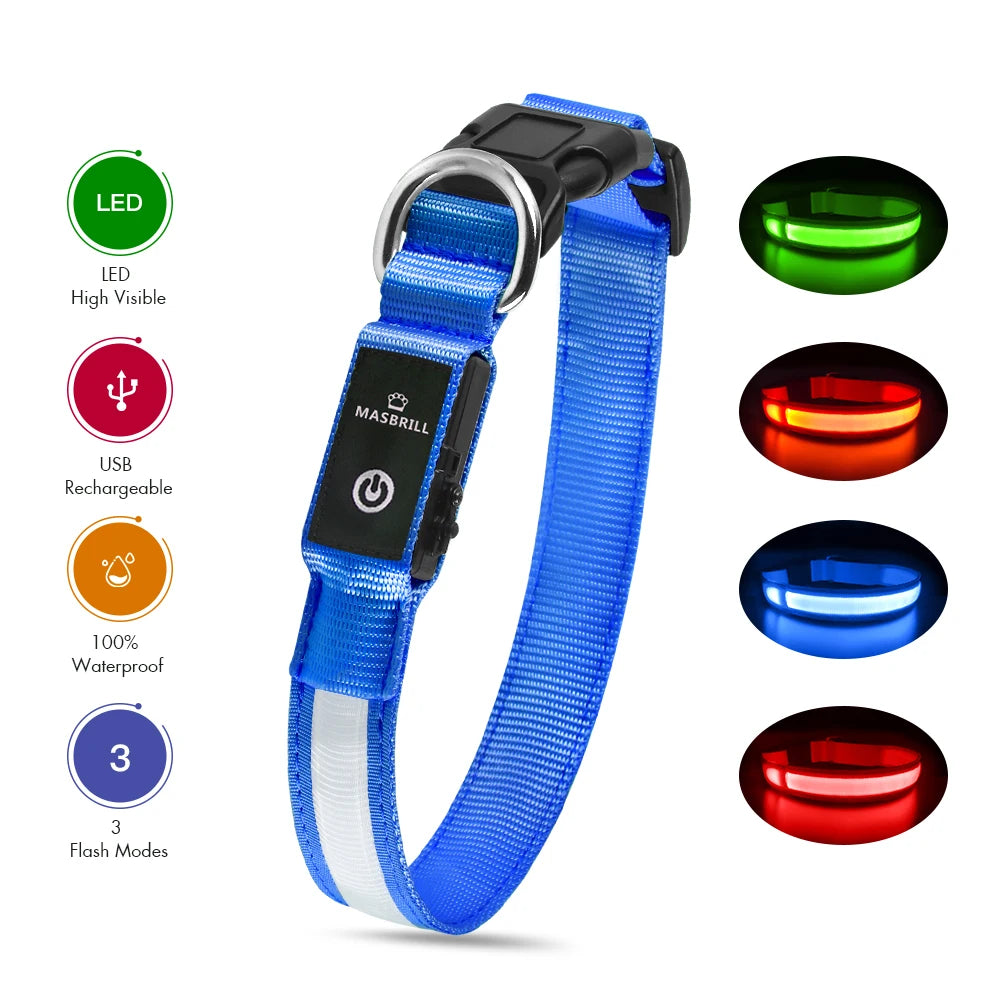 Waterproof Luminous Pet Dog Collar