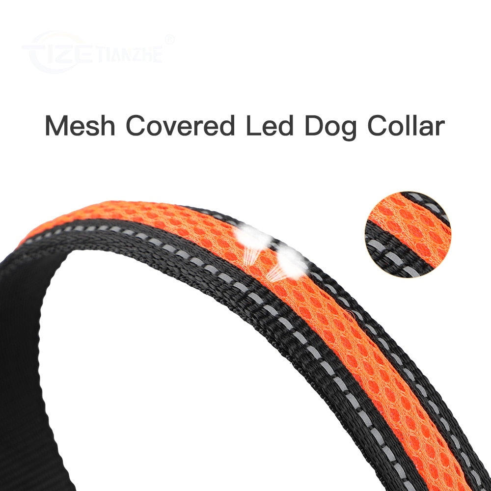 LED Flashing/Glowing Waterproof Dog Collar - goodfitforyou23