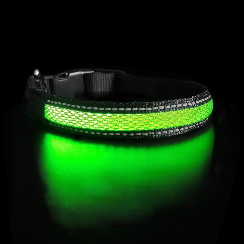 LED Flashing/Glowing Waterproof Dog Collar - goodfitforyou23