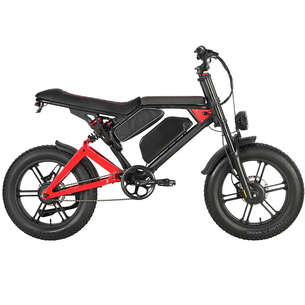 2000W Dual Motor Electric Bike 48V 23AH Removable Battery