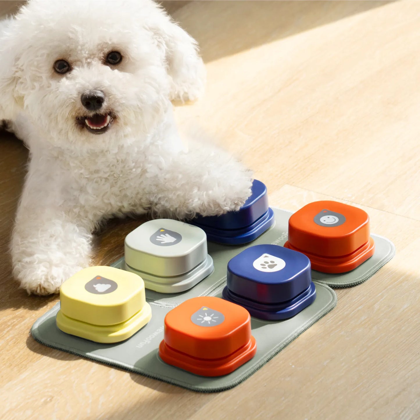 Interactive Record Talking Dog Button Vocal Training - goodfitforyou23