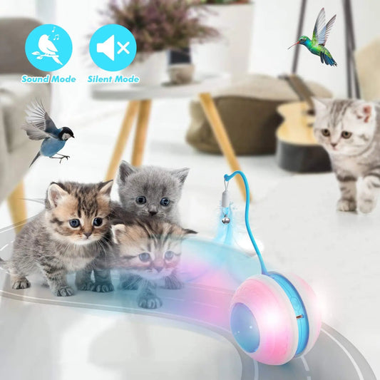 Crazy Cat Teaser Interactive Rolling Ball