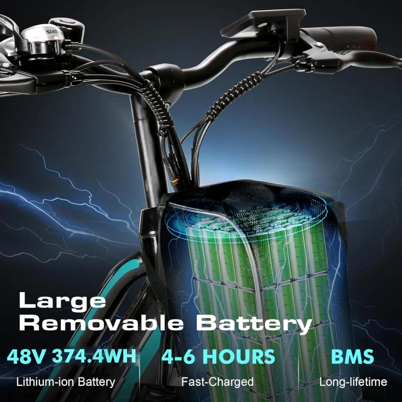 Electric Bike for Adults with 750W Peak Motor