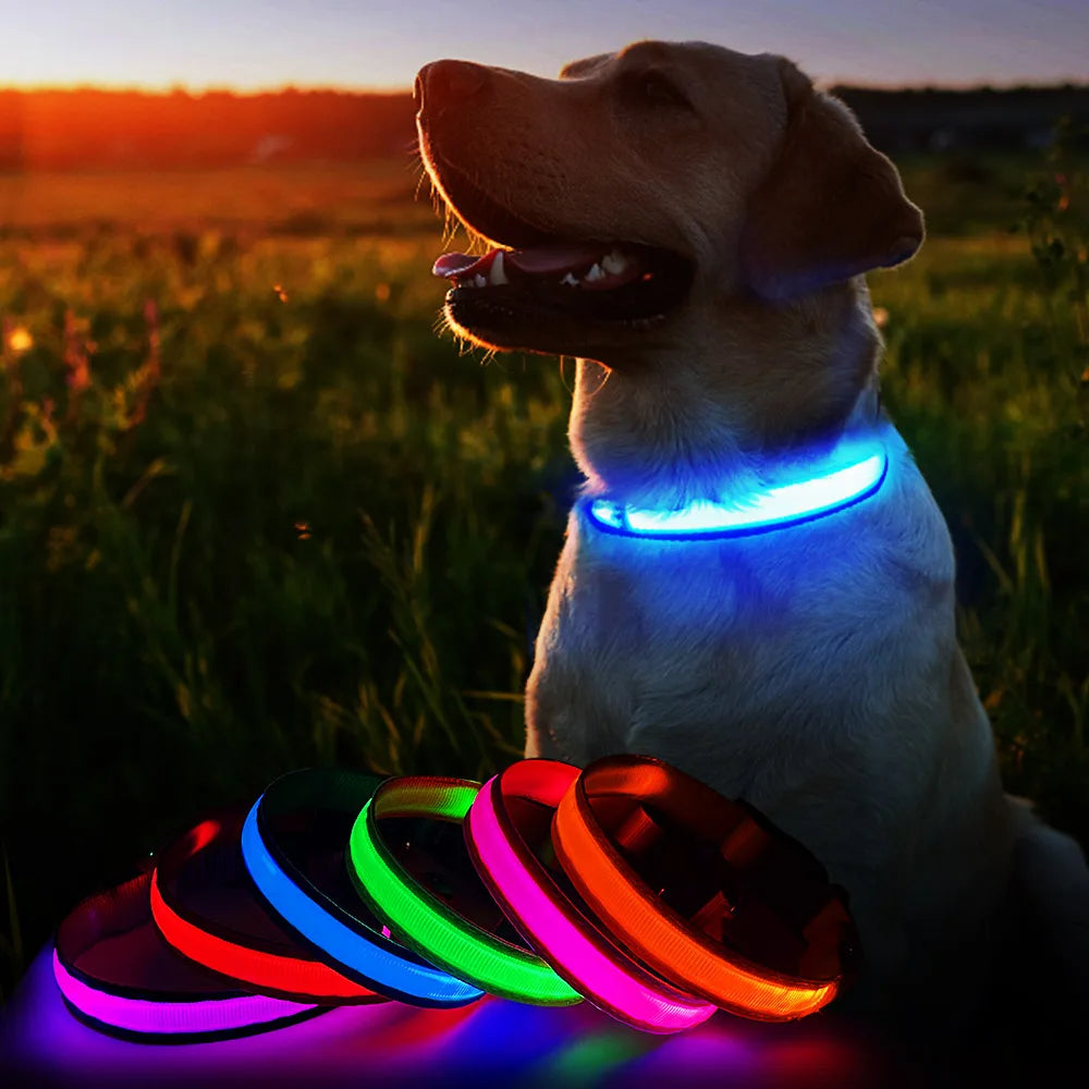 Waterproof Luminous Pet Dog Collar