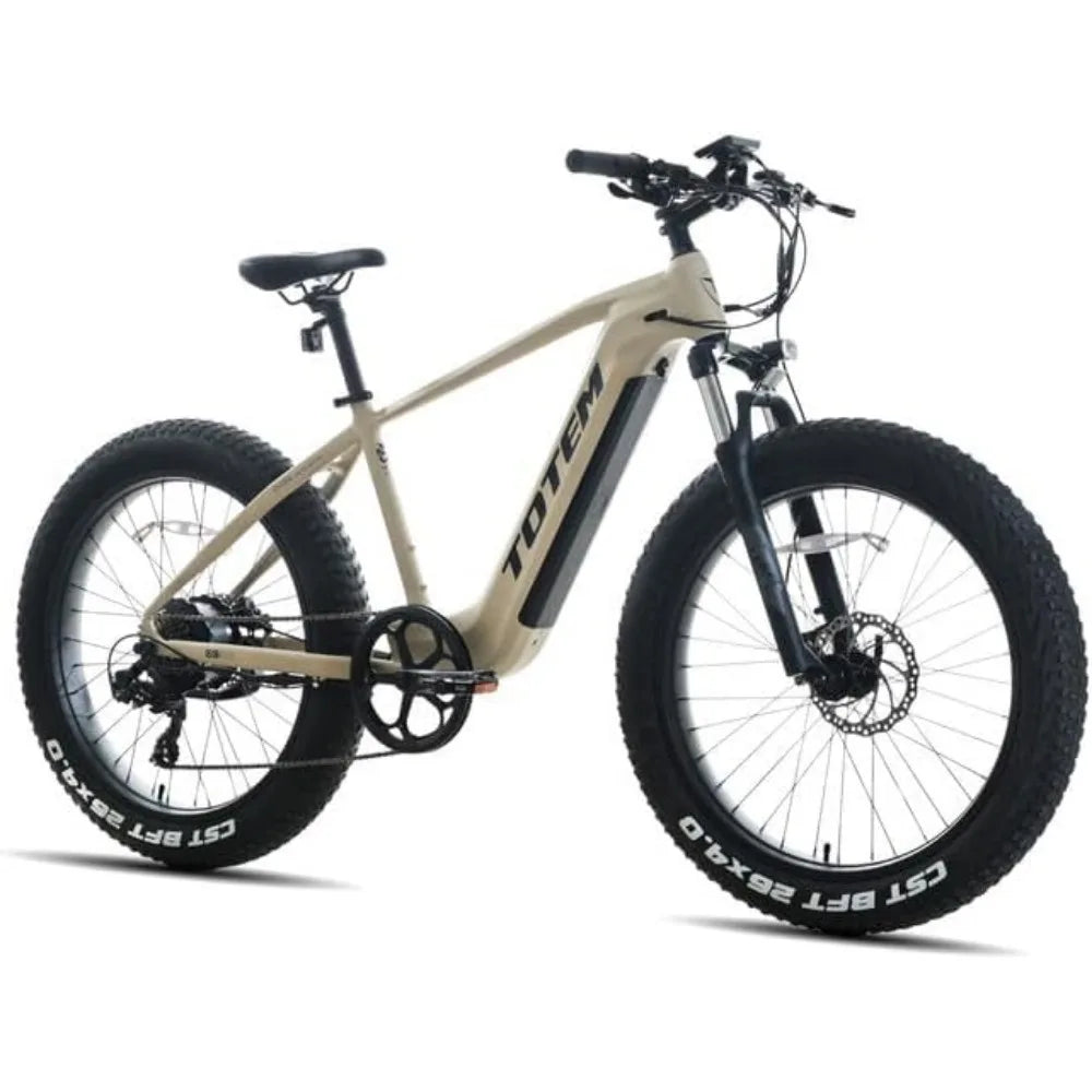 Adult Electric Bike 750W Fat Tire  48V 14.5Ah Removable Battery