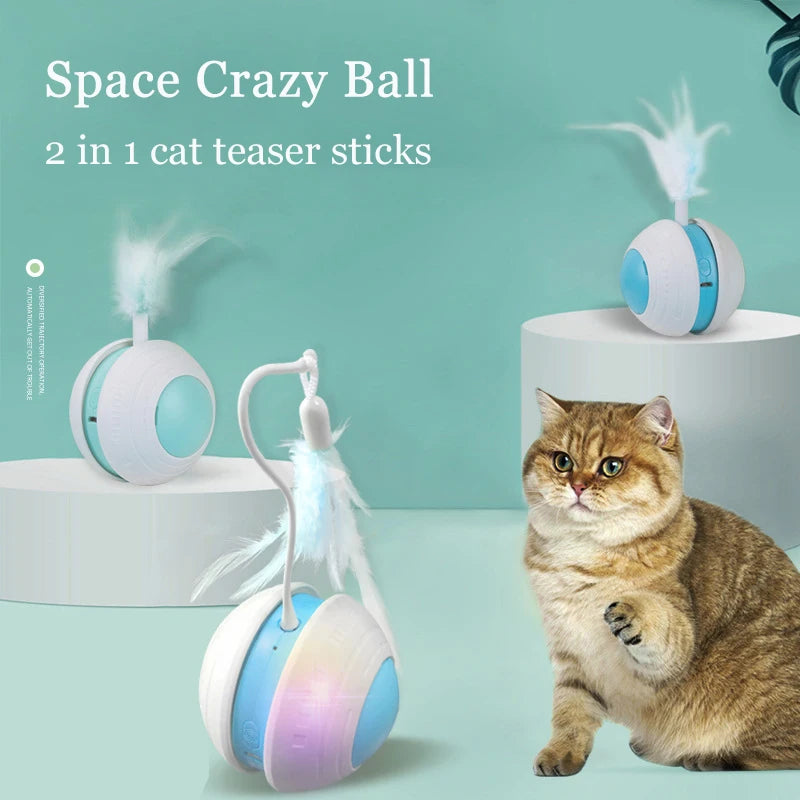 Crazy Cat Teaser Interactive Rolling Ball