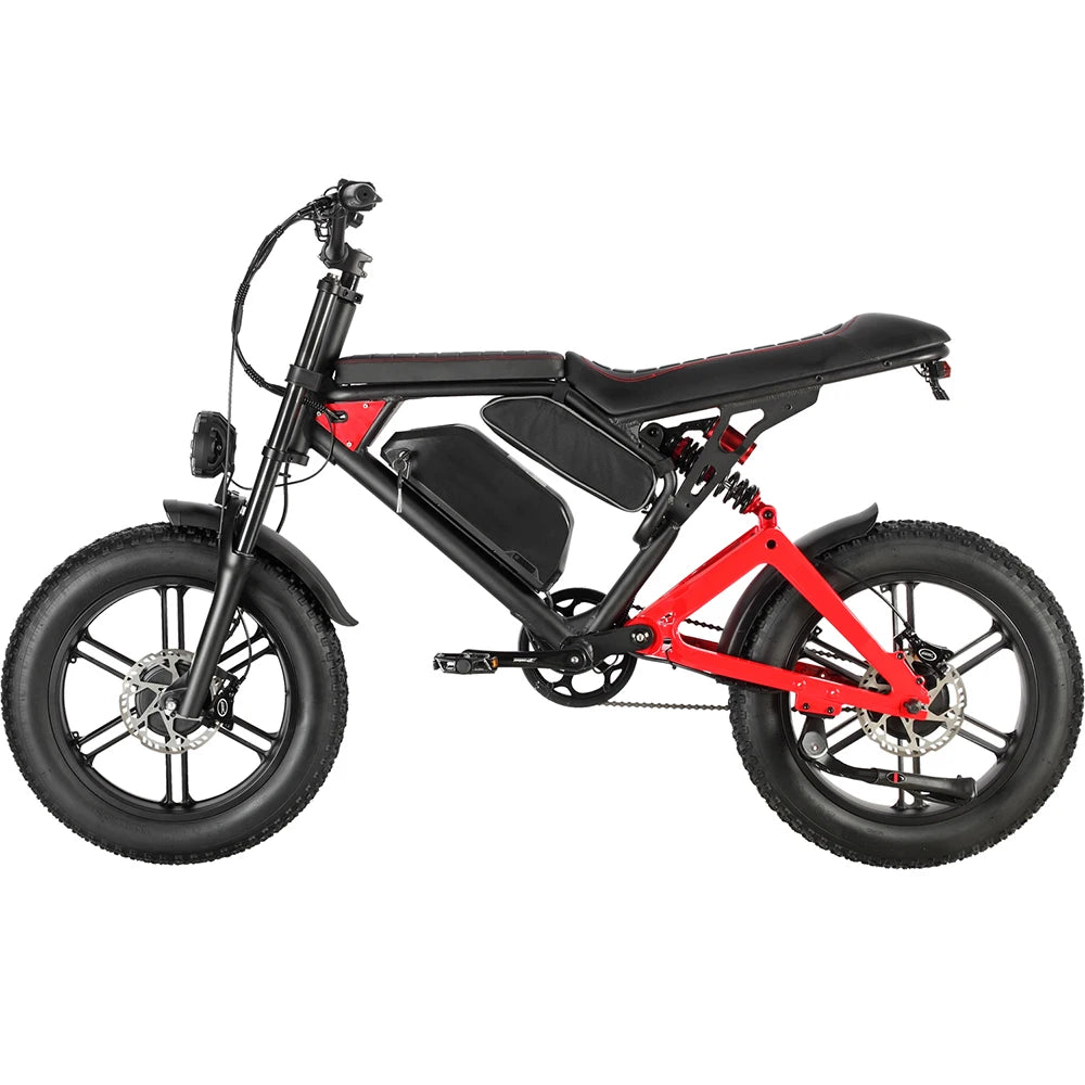 2000W Dual Motor Electric Bike 48V 23AH Removable Battery