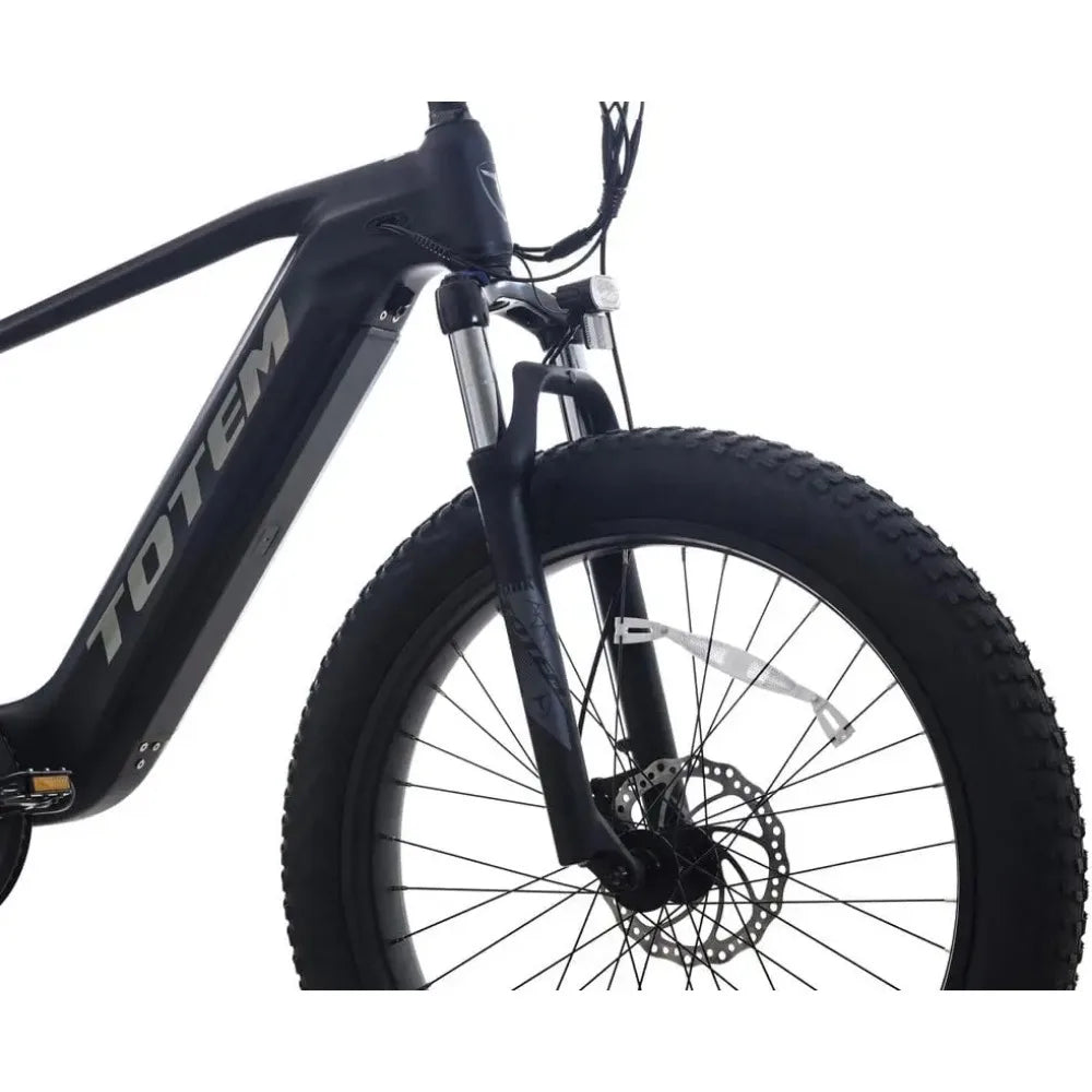 Adult Electric Bike 750W Fat Tire  48V 14.5Ah Removable Battery