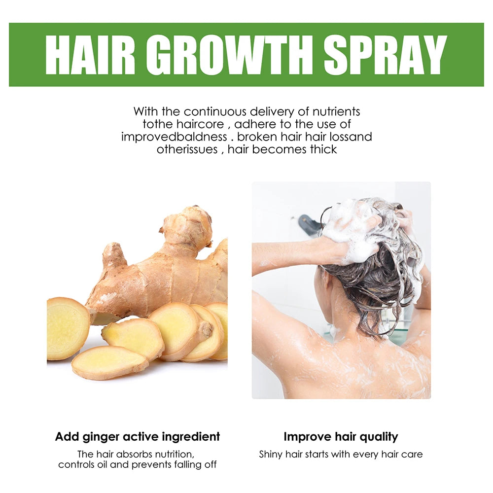 Ginger Essence Oil Anti Hair Loss Treatment For Hair Growth